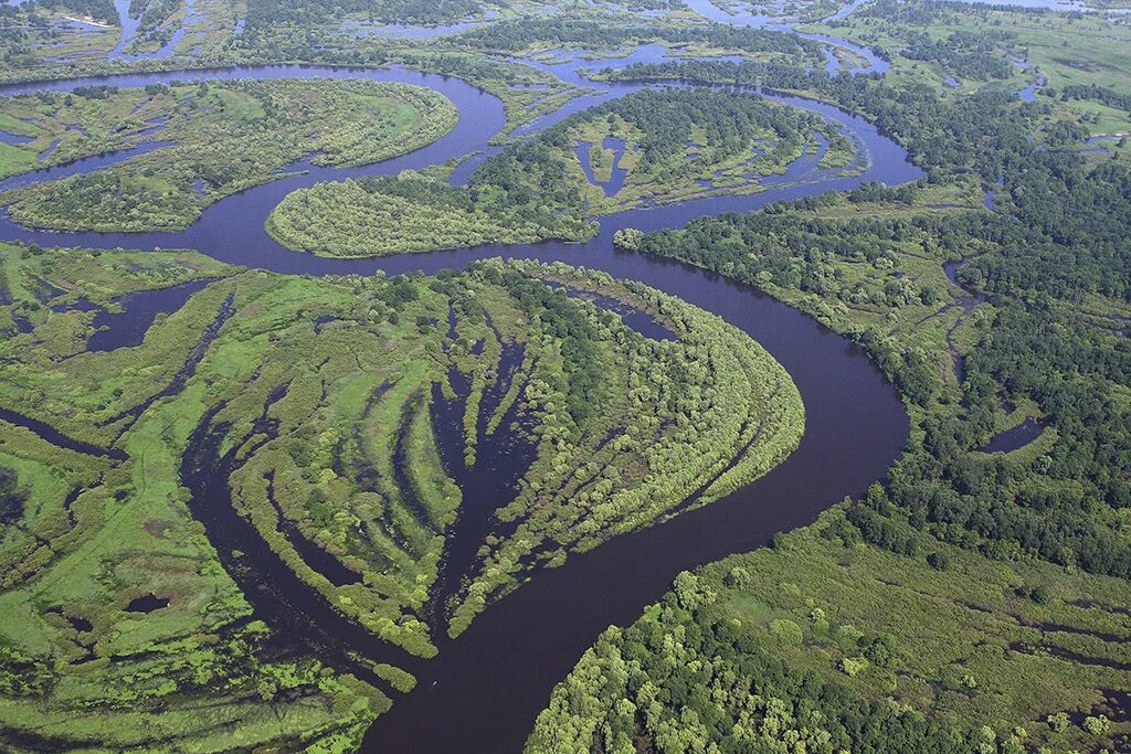 Водораздел рек Белоруссии. Речной ландшафт. Водные ресурсы Беларуси. Поверхностные воды Беларуси. Какие реки в белоруссии