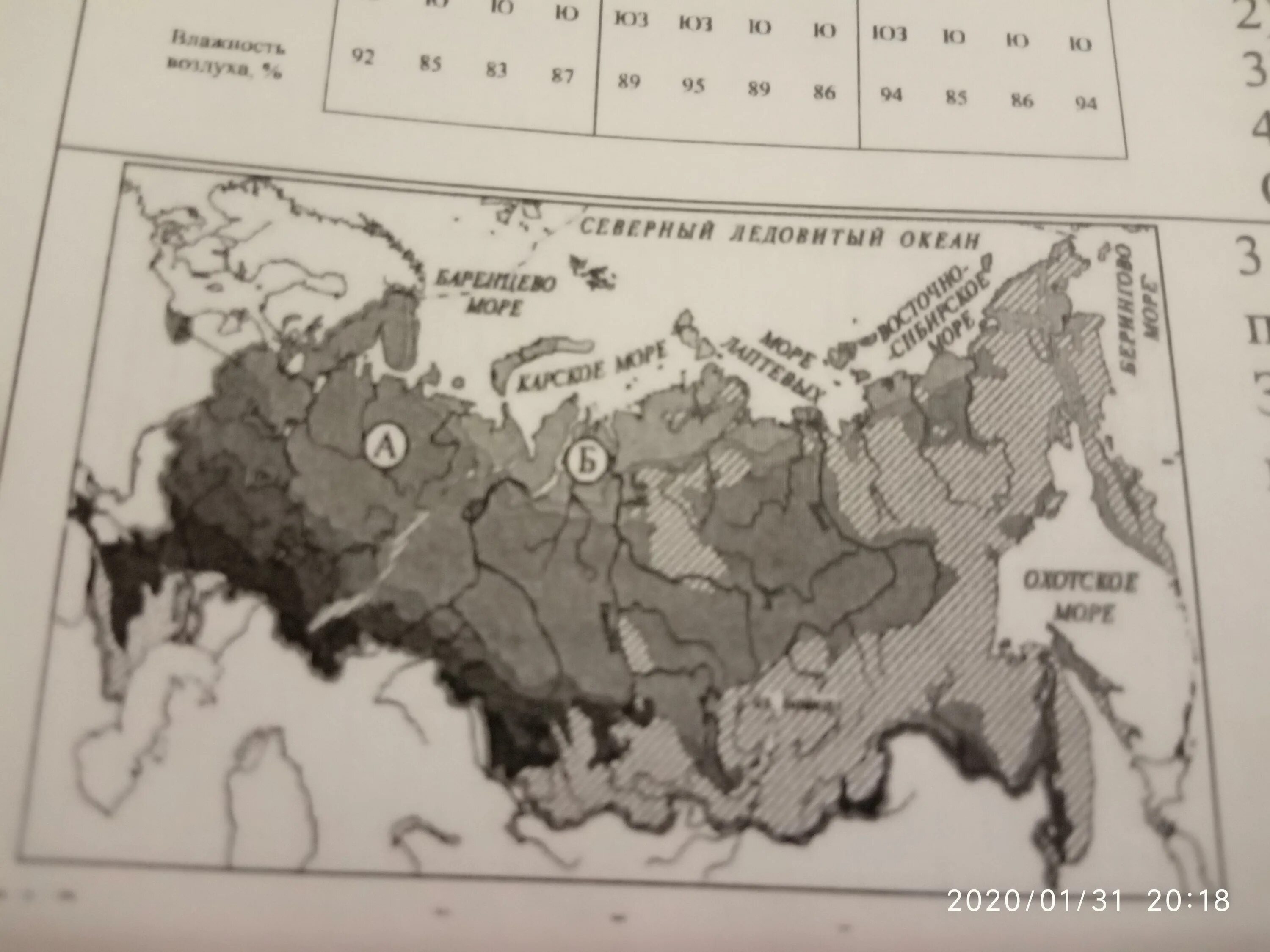 Природные зоны россии впр ответы. Рассмотри карту природных зон России. Карта природных зон а и б. Название природной зоны а и б. Карта природных зон России зона а и б.