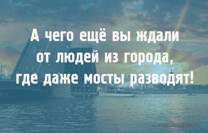 Фраза санкт петербурга. Смешные высказывания про Питер. Цитаты про Петербург. Цитаты про Питер. Смешные цитаты про Питер.