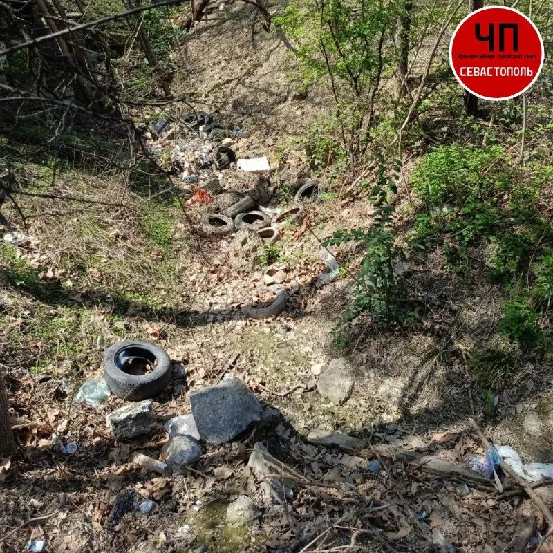 Чп севастополь телеграмм канал. Чп севастополь телеграмм канал. Чп севастополь телеграмм канал. Чп севастополь телеграмм канал. Чп севастополь телеграмм канал.