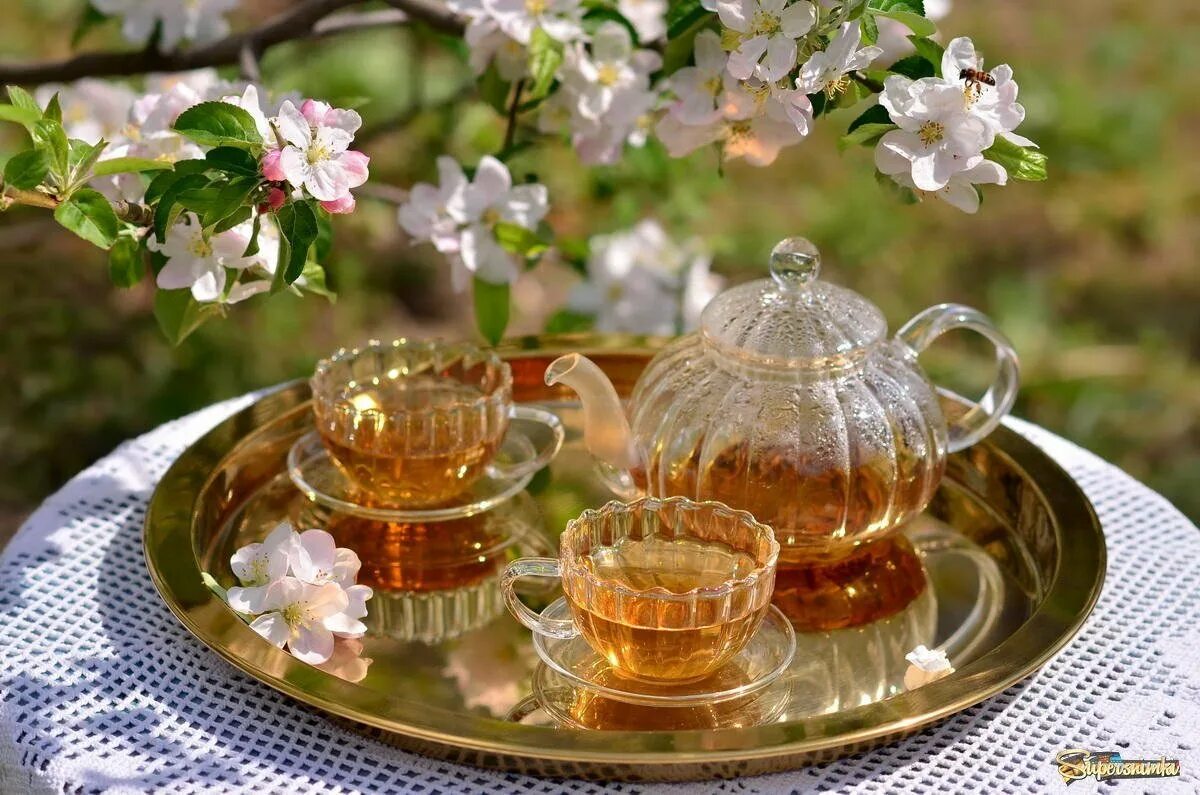 Весенний чай картинки. Чаепитие в весеннем саду. Вечернее чаепитие. Летнее чаепитие в саду. Вечерний чай.