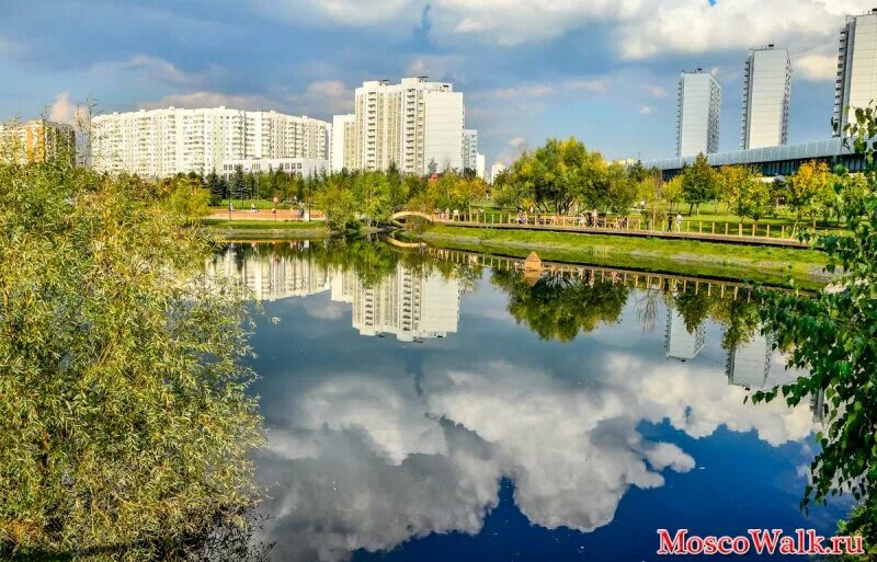 Вода в южном бутово. Южное бутово деревня. Северное бутово 90-е. Южное бутово пруд. Черневский парк южное бутово.