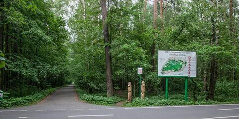 Территория лосиного острова