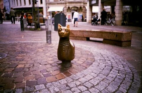 Кот лондон