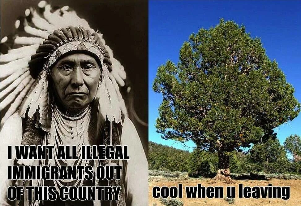 America nation of immigrants meme. Long day good night. When it cools. When it cools. Playing it cool перевод.