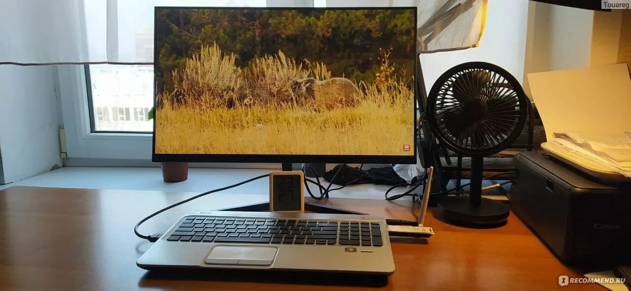 Монитор xiaomi 1c 23 8. Монитор xiaomi 1c 23 8