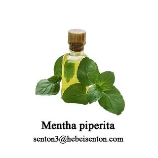 Экстракт ментола