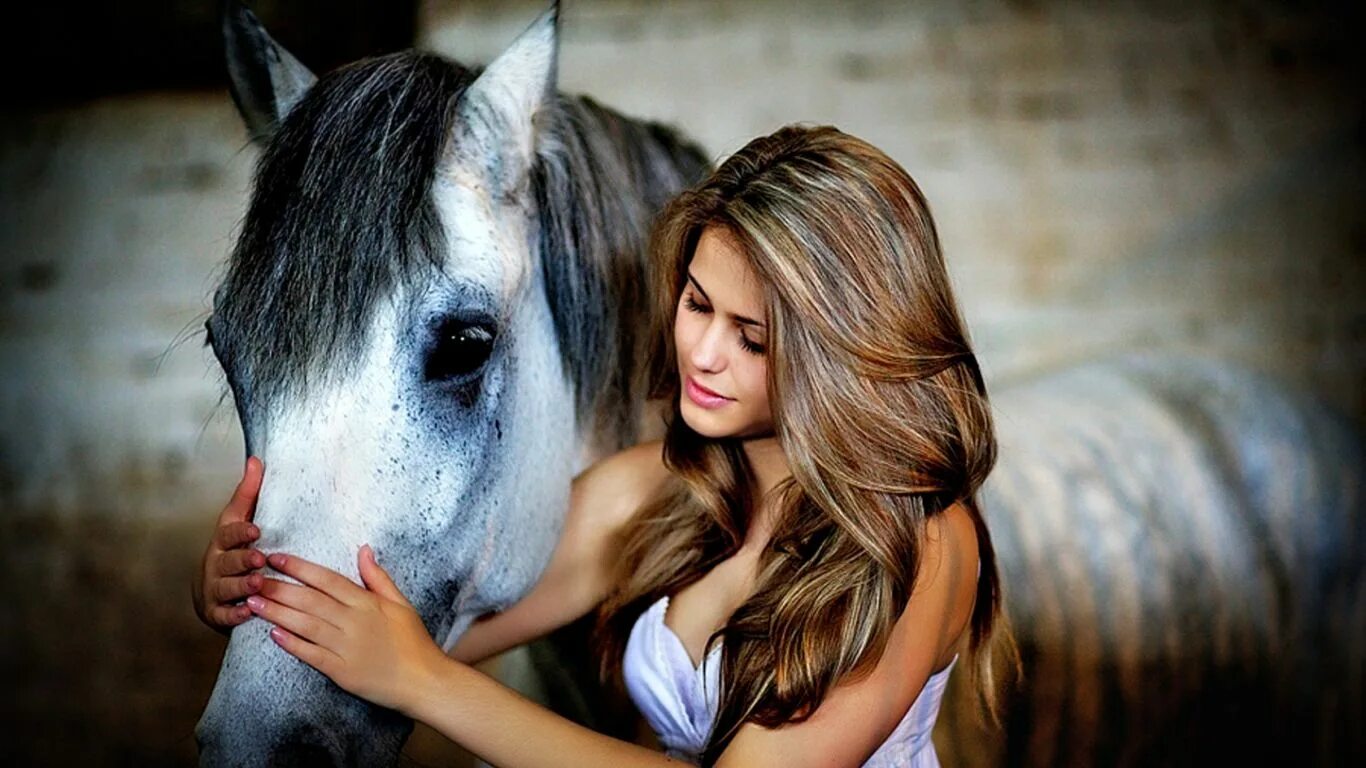 Девки и лошади. Фотосессия с лошадьми. Красивая фотосессия с лошадью. Девушка с лошадью. Красивые девушки с животными.