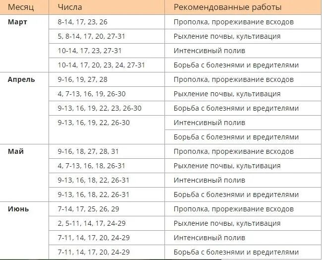 Благоприятные дни для посева огурцов на рассаду. Благоприятные дни для посадки огурцов на рассаду. Посадочные дни для огурцов. Благоприятные дни для высадки рассады огурцов. Благоприятные дни для огурцов.