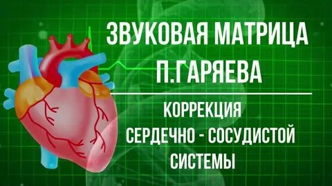 Матрица горяева мочеполовая система