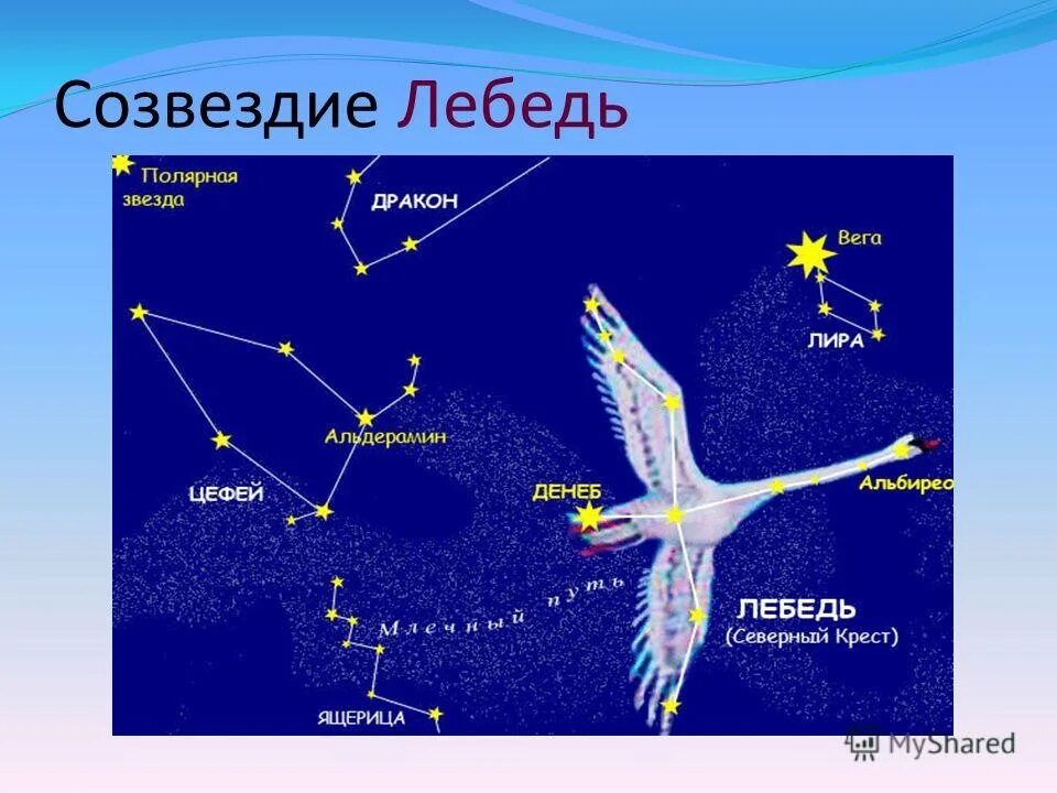 Денеб звезда в созвездии лебедя. Созвездие лебедя и Полярная звезда. Астеризм созвездия лебедь. Созвездие лебедь атлас определитель.