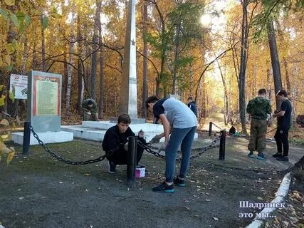Шадринск регион