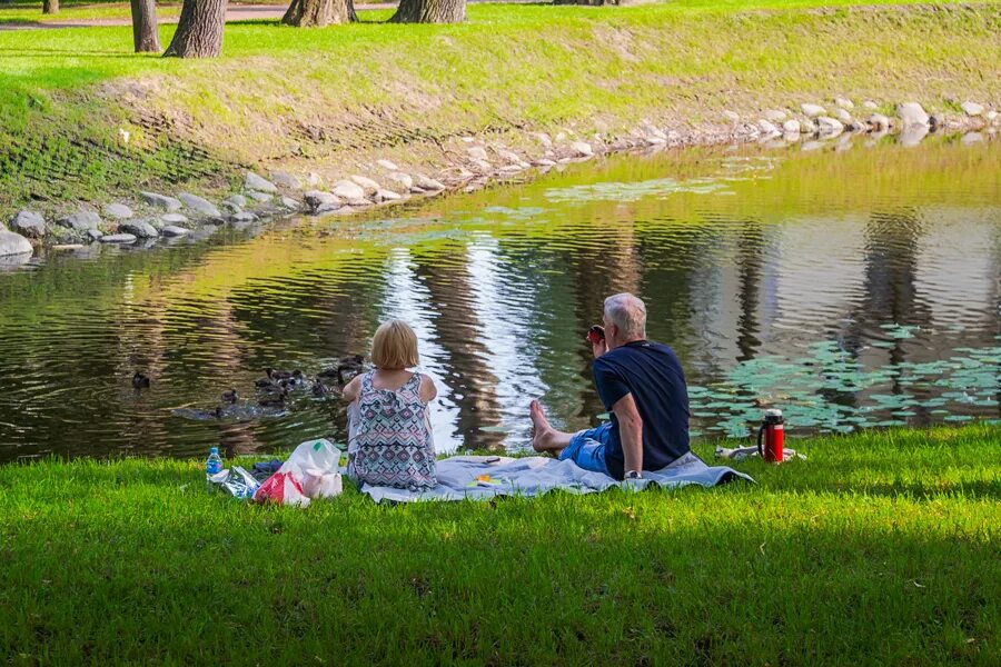 Дачный прудик ива. Природа летом. Пруд мам. Фотосессия семьи на берегу реки. Девочки на лавочке в деревни.