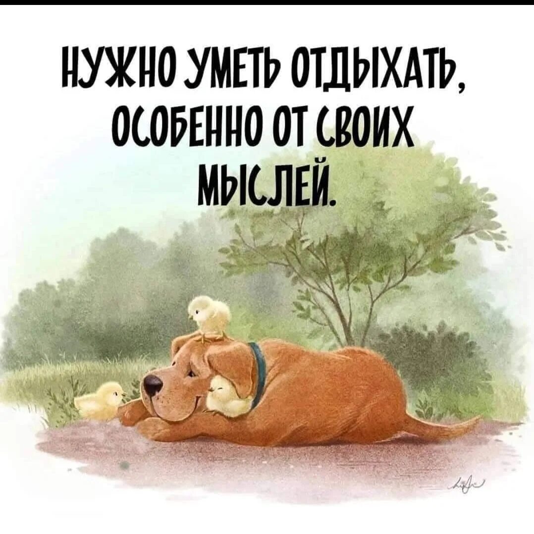 Прикол мы культурно отдыхать умеем. Знаем отдыхаем. Отдыхать надо уметь. Знаем отдыхаем. Знаем отдыхаем.