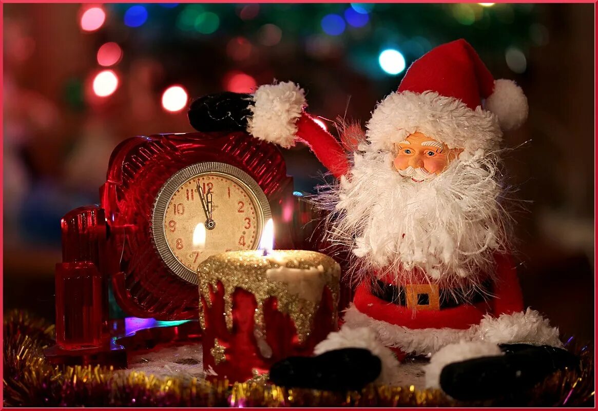 Елка пожеланий. Новогодняя удача. Новогодняя елка с деньгами. Новогодняя удача. Новогодние картинки.