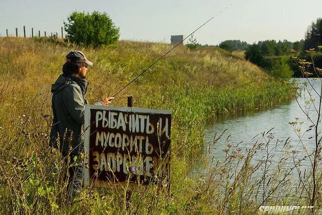 Рыбы нет. Рыбы нет фото. Здесь рыбы нет. Там рыбы нет. Ералаш рыбы нет