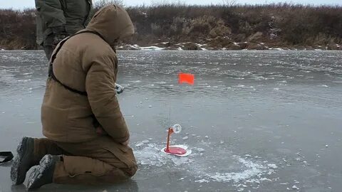 Никого не поймал
