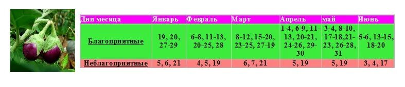 Удачные дни для пикировки в марте 2024