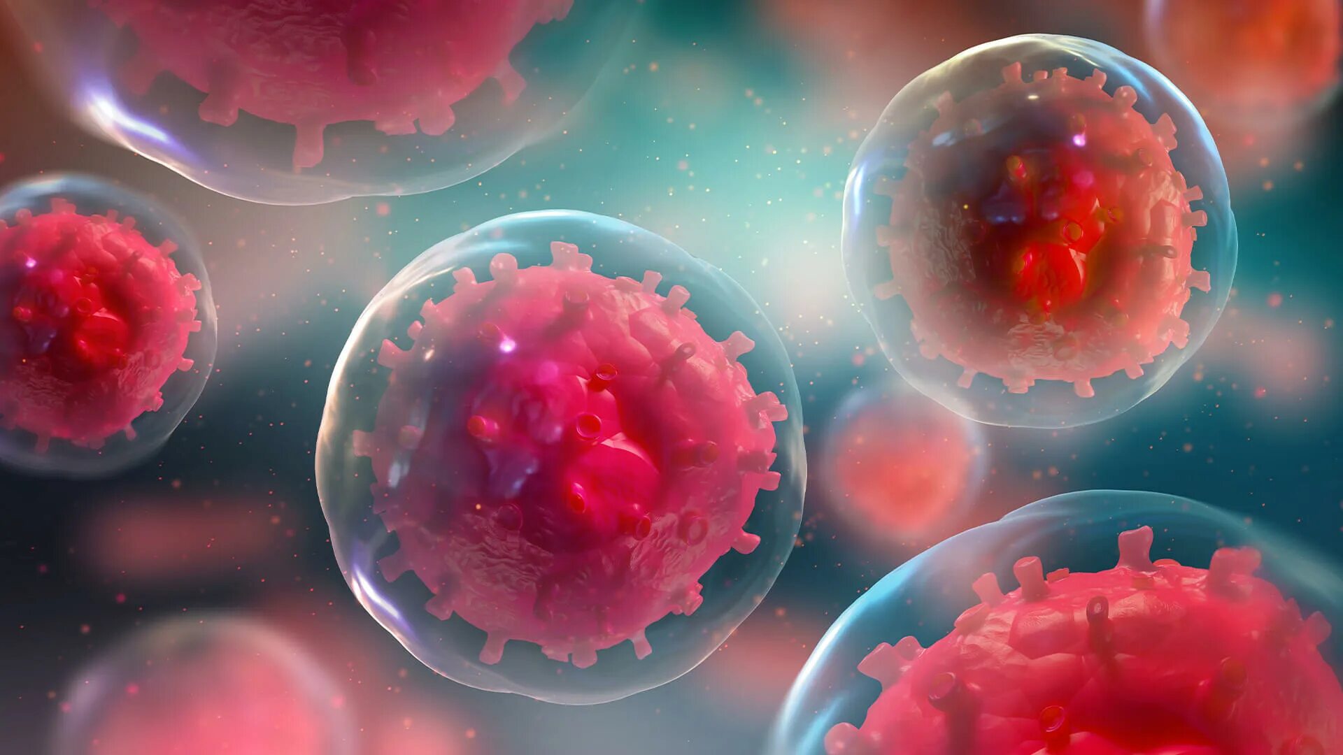 Строение бактериальной клетки. Схема строения бактериальной клетки. Строение бактериальной клетки. Структура бактериальной клетки антиген. Строение бактериальной клетки микробиология.