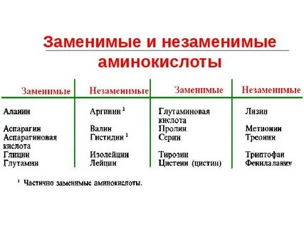 Аминокислоты белков заменимые и незаменимые