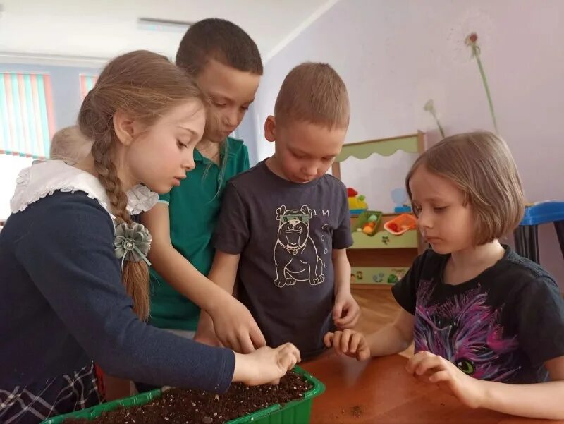 частный сад красносельский