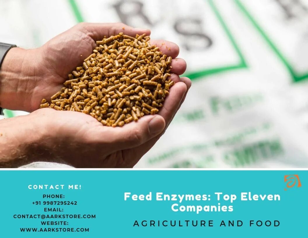 I feed перевод. Feed Enzymes. Feed картинка. Элита маркетинг. Документы Feed.