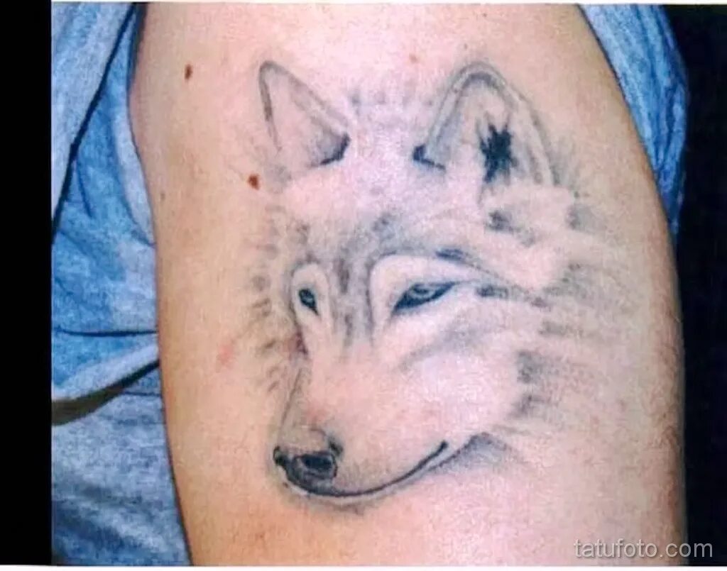 переводилки тату волк. тату белого волка. вулф вулф вулф тату. волк тату эскиз черно белый реализм. белый волк татуировка тату.