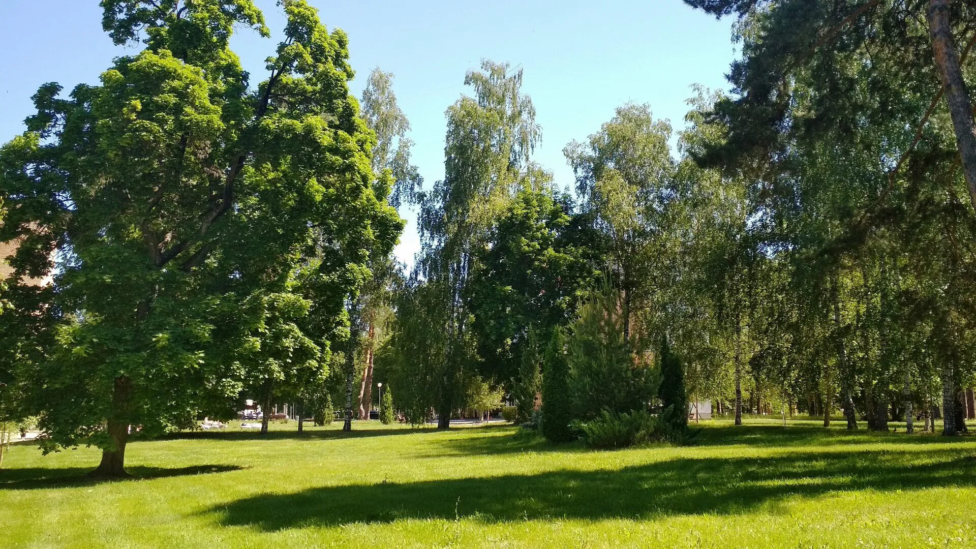 Солотча программа. Солотча рязань. spa санаторий солотча. сан солодчи ряханская обл.