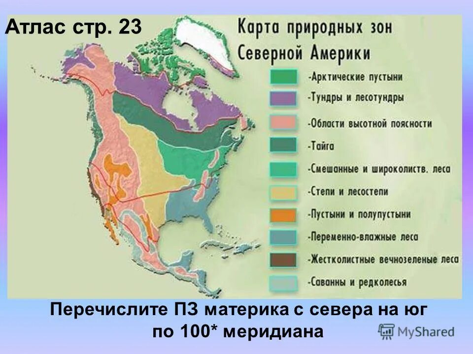 Природная зона занимающая 40