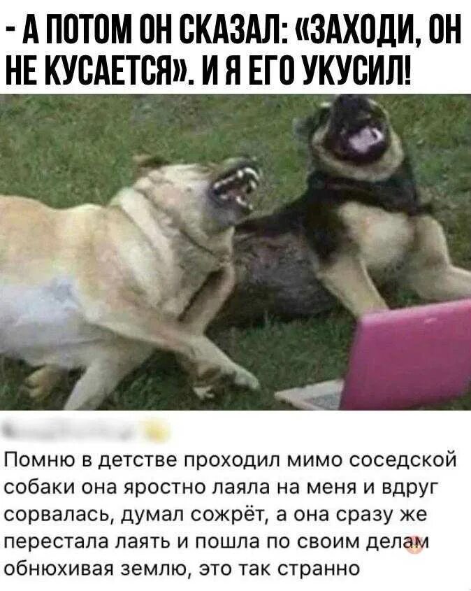 Обидевшись приемлемый лающая заплатят