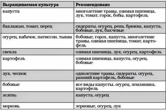 После каких культур можно сажать лук. После чего можно сажать морковь на следующий год. Что можно сажать после моркови на следующий год. Что можно сажать после Морко. После чего сажать морковь.