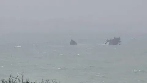 Что произошло в черном море