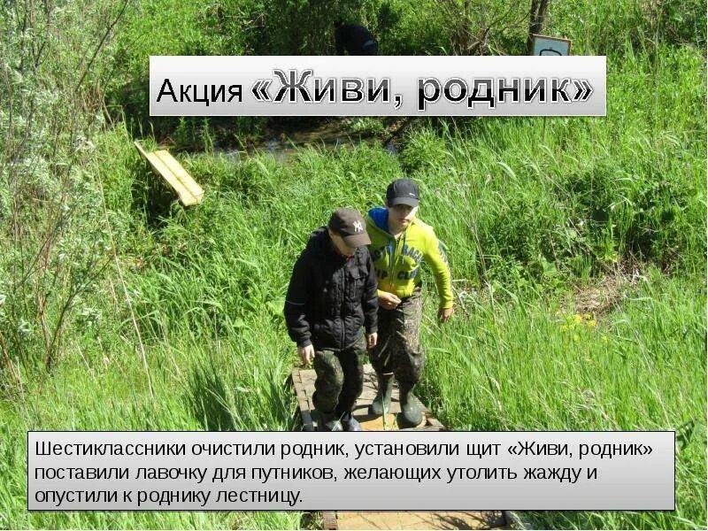 Акция родники. Акция родники. Акция чистый родник. Листовка живи родник. Чистый родник.