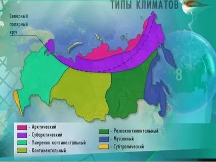 Выбери тип климата