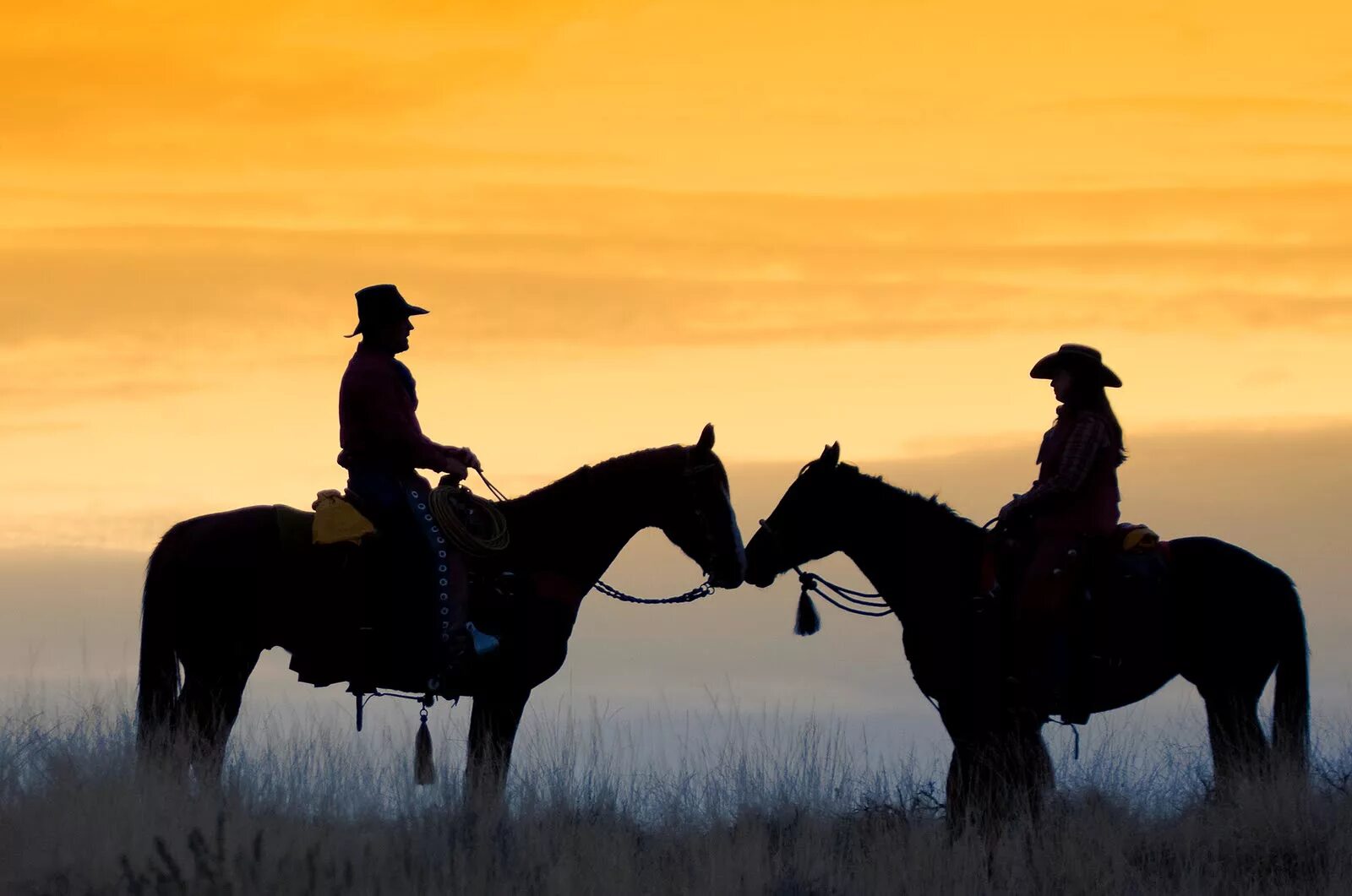 Страна ковбоев. Ковбой на лошади. Cowboy Cowgirl. Cowboy 806.