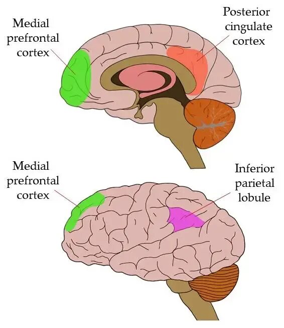 Дефолт система мозга. Default mode network. Дефолтная сеть мозга. Default mode network brain. Default mode 0.