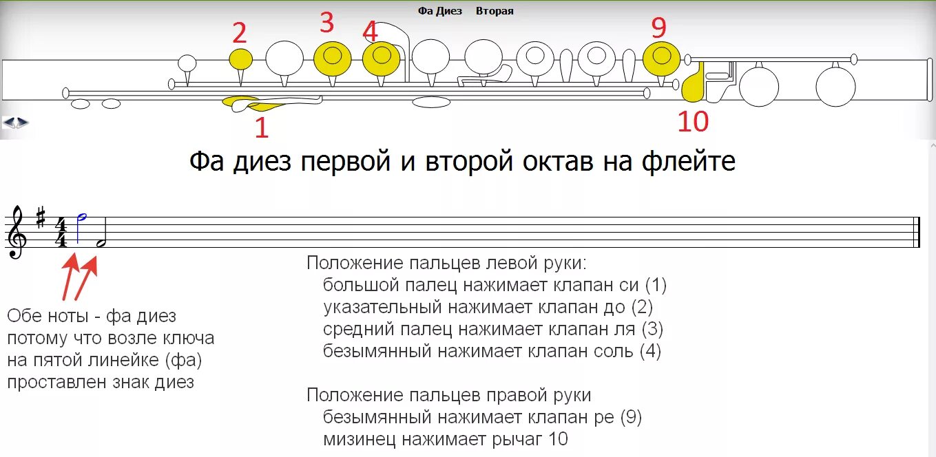 Как играть на флейте. Нота фа диез 3 октавы на флейте. Фа диез второй октавы на флейте. Фа диез 2 октавы на флейте. Нота фа диез 3 октавы на поперечной флейте.