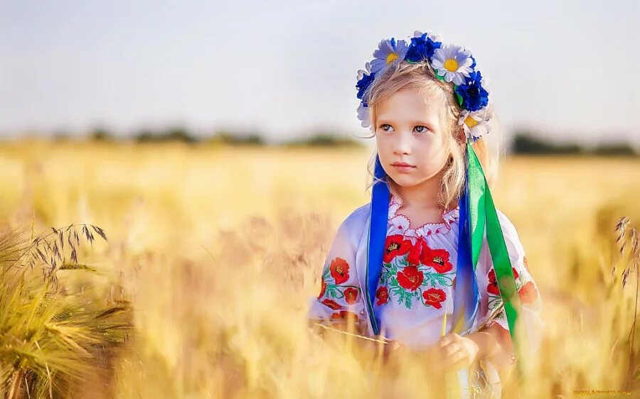 Фото детей украины. Украинка в поле. Красивые Украинки. Девочка Украиночка. Самые красивые украинские дети.