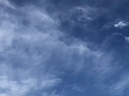 蝉 の 初 鳴 き.昭 和 の UR に 酷 暑 が や っ て 来 る. 