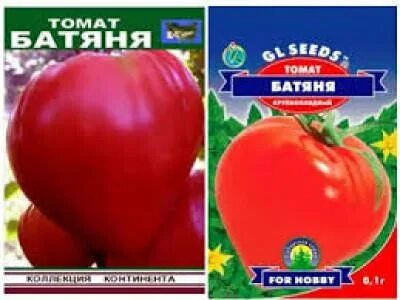 Характеристика томата батяня описание и отзывы