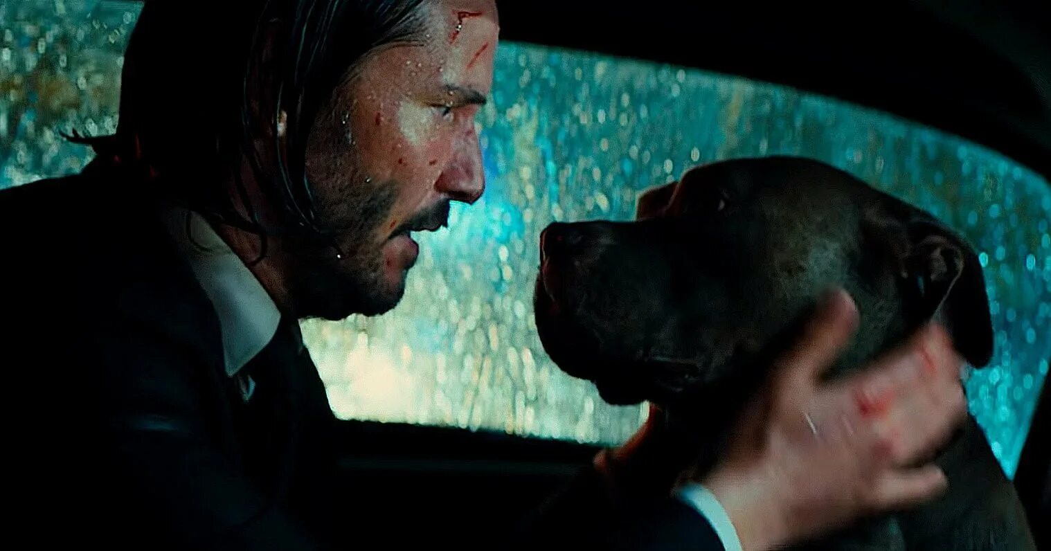 Джон уик 1 собака. Киану ривз с собакой. Джон уик 2 собака. Джон уик 2 собака. Джон уик собака порода.