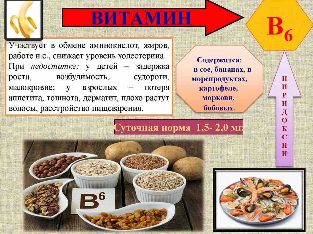 Технология 5 класс про витамины. Витамин в6 конспект. витамины презентация 8 класс. витамин б интересные факты. витамины тема 8 класс.