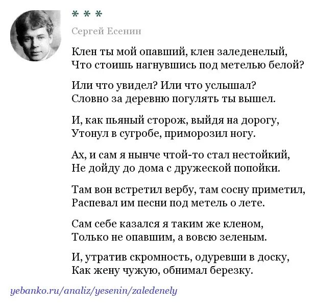 Стих есенина клён ты мой опавший. Клён ты мой опавший текст. Клён ты мой опавший есенин стихи. Стих есенина клён ты мой опавший. Музыкальные произведения на стихи есенина.