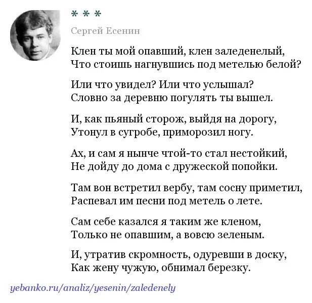 Романс клен. Стихи Есенина клен. Стихотворение Есенина клён опавший. Клён ты мой опавший Есенин стихи.