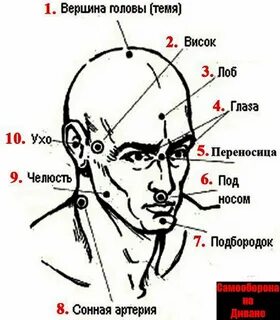 Виски у человека как пишется