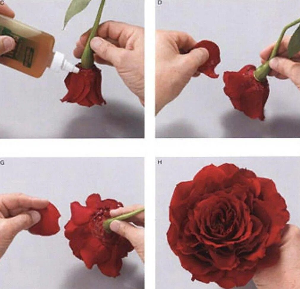 Вывернутые розы. Искусственные цветы своими руками. Букет из роз. Розы с вывернутыми лепестками.