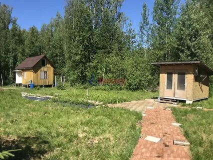 Снт озон