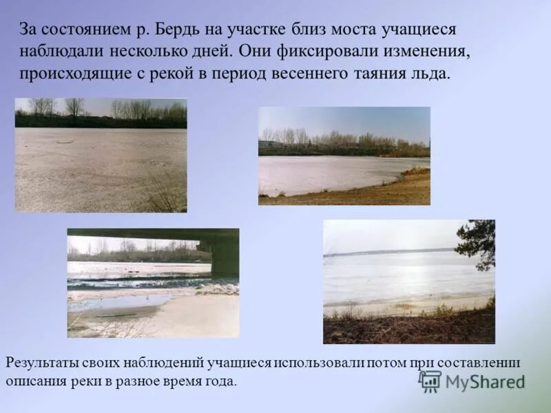 Обь в разные времена года. Как бердь изменяется в разные времена года. Как река изменяется в разные времена года. Реки россии коллаж. Водоемы коллаж.