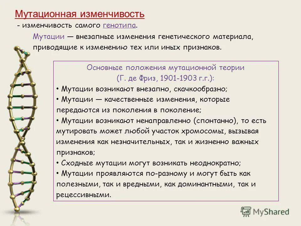 Мутационные изменения возникают. Мутационная изменчивость (мутации). Мутационная теория изменчивости. Мутационная изменчивость генетика. Изменение генетического материала.