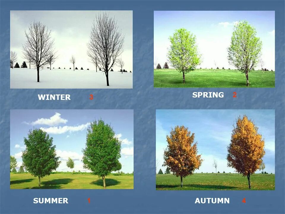 There are four seasons. Времена года на английском. Seasons времена года английский язык.